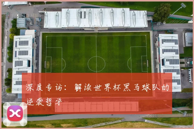 深度专访：解读世界杯黑马球队的逆袭哲学