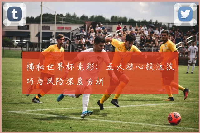揭秘世界杯竞彩：五大核心投注技巧与风险深度分析