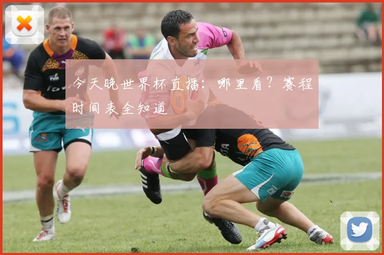 今天晚世界杯直播:哪里看?赛程时间表全知道