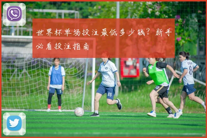 世界杯单场投注最低多少钱？新手必看投注指南