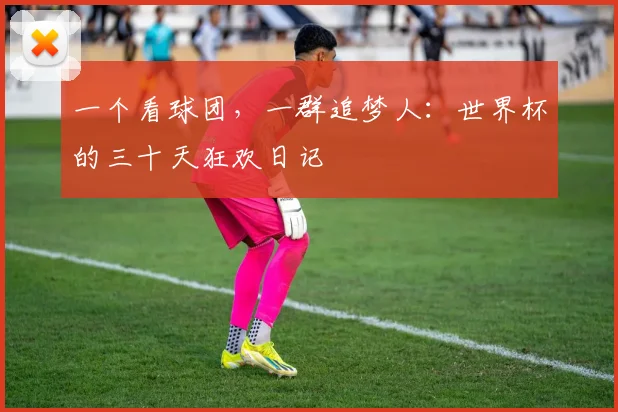 一个看球团,一群追梦人:世界杯的三十天狂欢日记