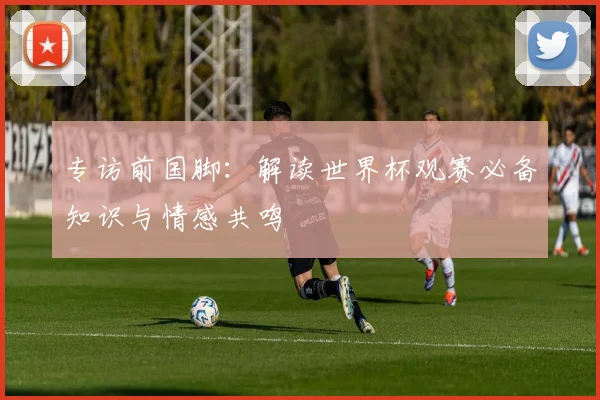 专访前国脚：解读世界杯观赛必备知识与情感共鸣