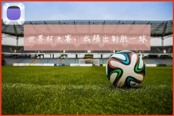 世界杯决赛，我踢出制胜一球